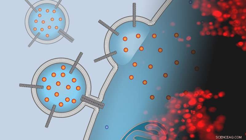 Efficient Cancer Drug Delivery via Carbon Nanotube-Embedded Liposomal Porins
