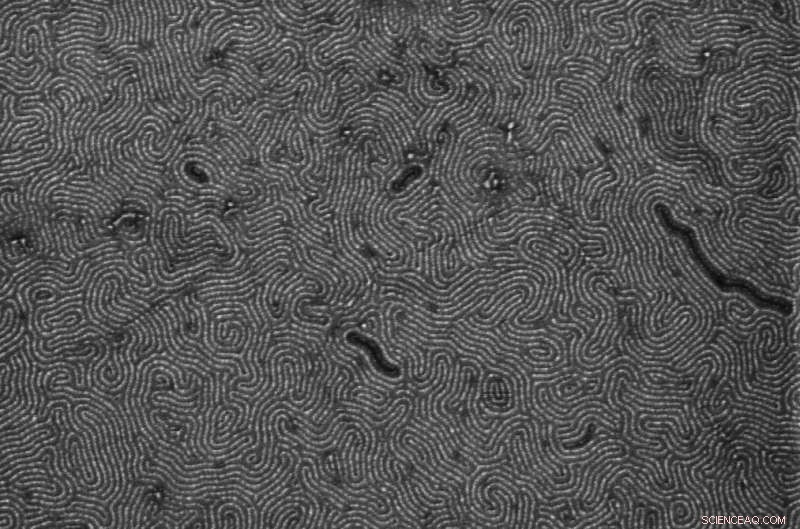 Researchers Create Ultra‑Small 12‑nm Graphene Nanoribbons to Boost Telecom Technology