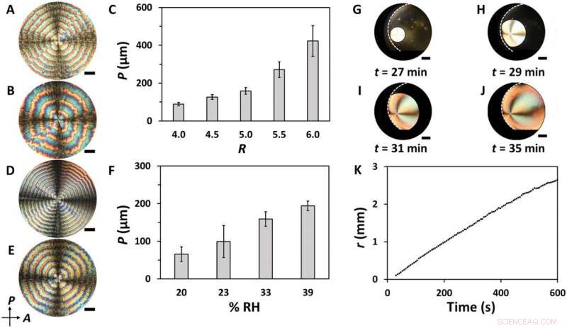 Self-Organized Nanoparticle-Molecule Structures: Periodic Liesegang Patterns in CNC and TA Films