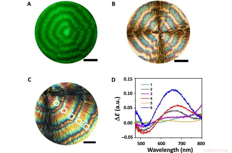 Self-Organized Nanoparticle-Molecule Structures: Periodic Liesegang Patterns in CNC and TA Films