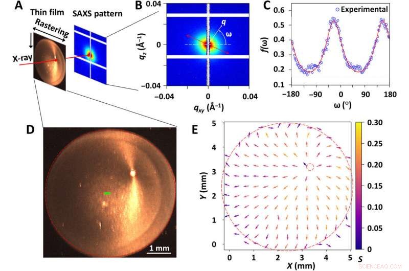 Self-Organized Nanoparticle-Molecule Structures: Periodic Liesegang Patterns in CNC and TA Films
