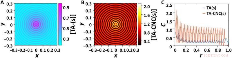 Self-Organized Nanoparticle-Molecule Structures: Periodic Liesegang Patterns in CNC and TA Films