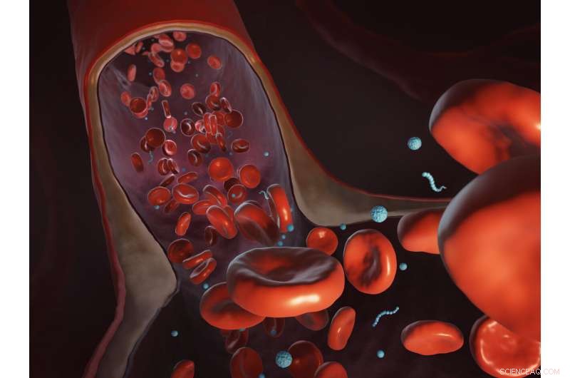 Precision Tumor Targeting with Nanoworms for Enhanced Cancer Therapy