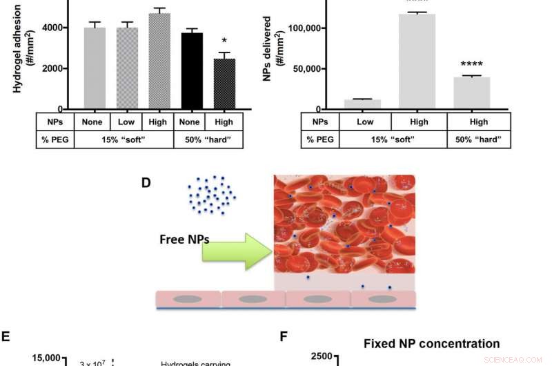 Flexible Microparticles as Targeted Drug Carriers for Nanoparticle Delivery to the Vascular Wall