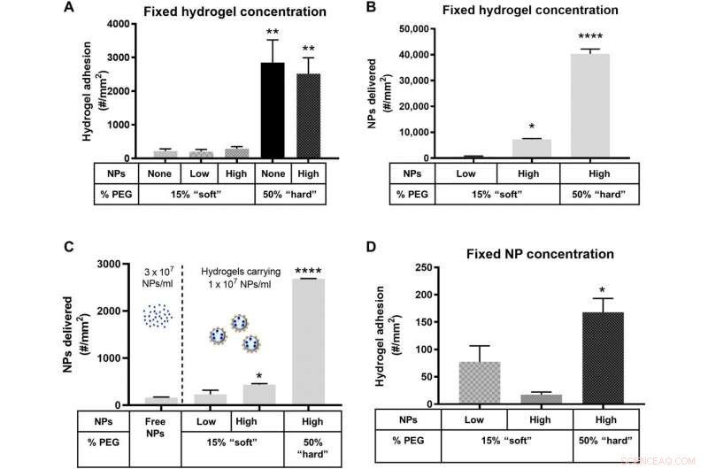 Flexible Microparticles as Targeted Drug Carriers for Nanoparticle Delivery to the Vascular Wall