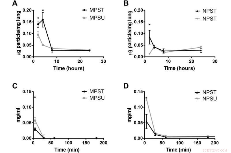 Flexible Microparticles as Targeted Drug Carriers for Nanoparticle Delivery to the Vascular Wall