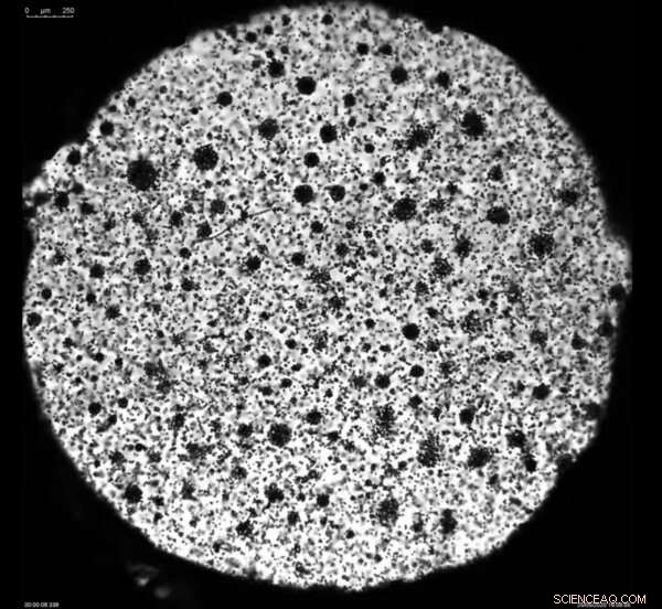 Fast, Reliable Molecular Testing with Magnetic Microbead Mixing