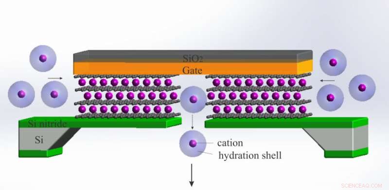 Pushing Ionic Transistors to the Atomic Scale: Breaking the Ultimate Limit