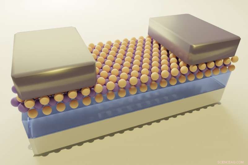 Breakthrough in 2D Transistor Technology May Shrink Microchip Components