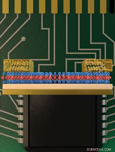 Breakthrough in 2D Transistor Technology May Shrink Microchip Components