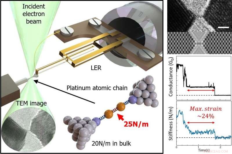 Probing and Imaging Single‑Atom Chains: Advanced Nanomechanical Techniques
