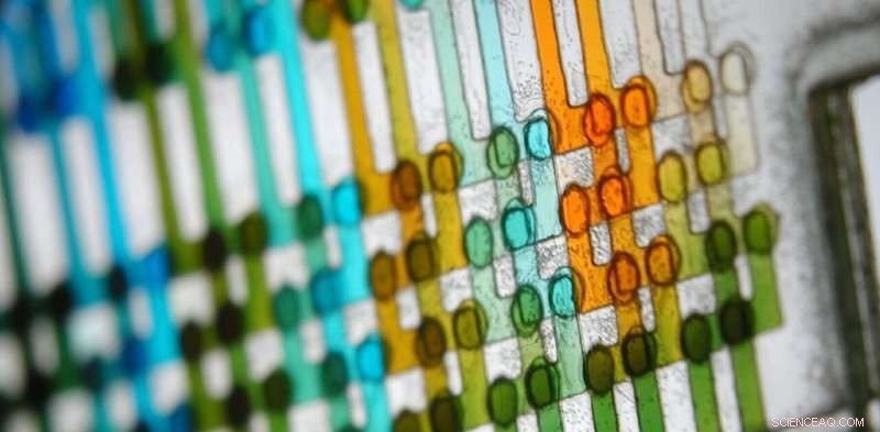 Microfluidics: Tiny Technology Transforming Everyday Innovations