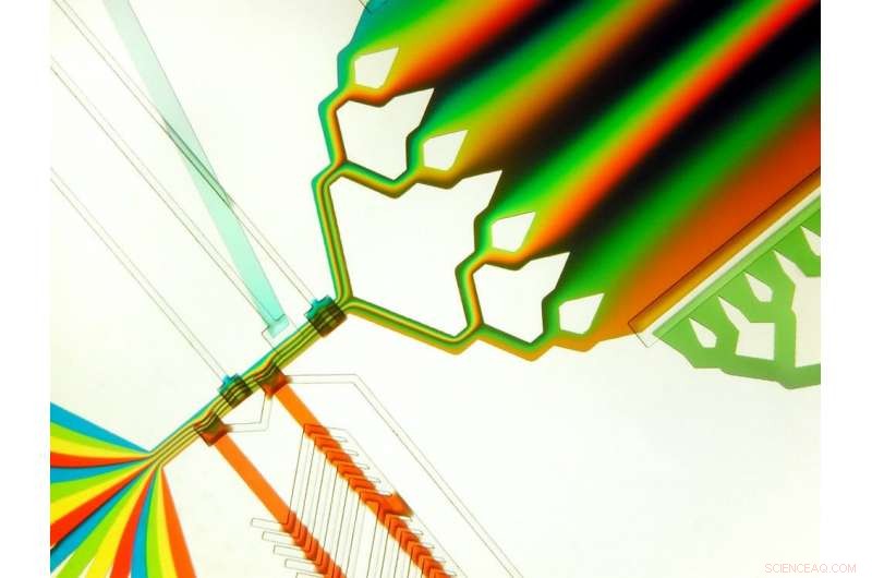 Microfluidics: Tiny Technology Transforming Everyday Innovations