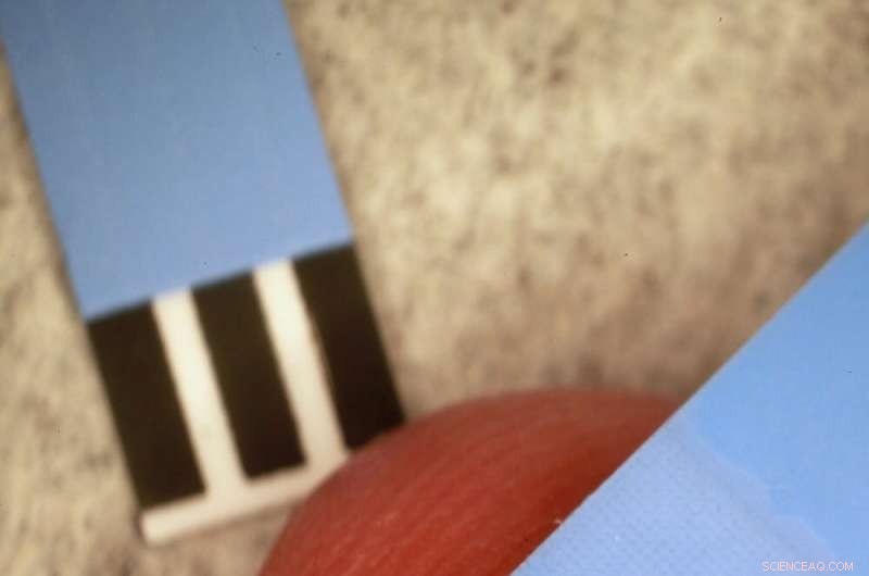 Microfluidics: Tiny Technology Transforming Everyday Innovations