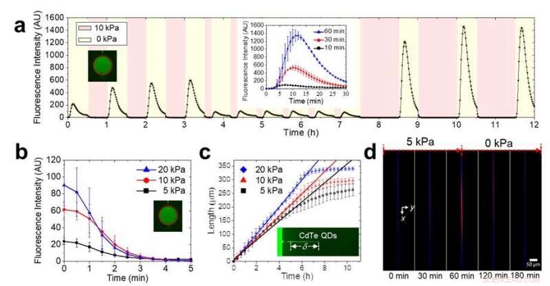 Evaporation-Driven Flow Enables Precise Control of Small Molecule Transport in Nanoslits
