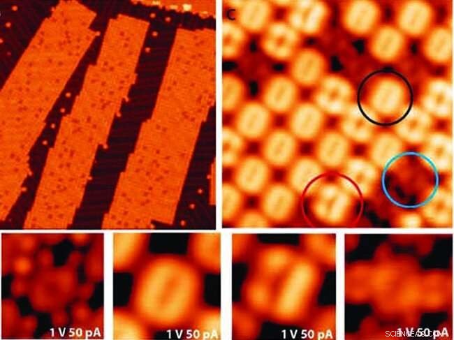 Engineering the Kondo Effect at the Molecular Scale