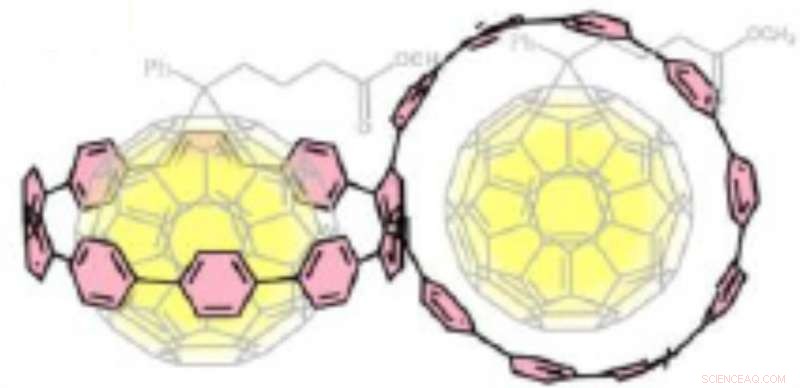 Scientists Achieve First Synthesis of All‑Phenylene Bismacrocycle with Conjoined Structure