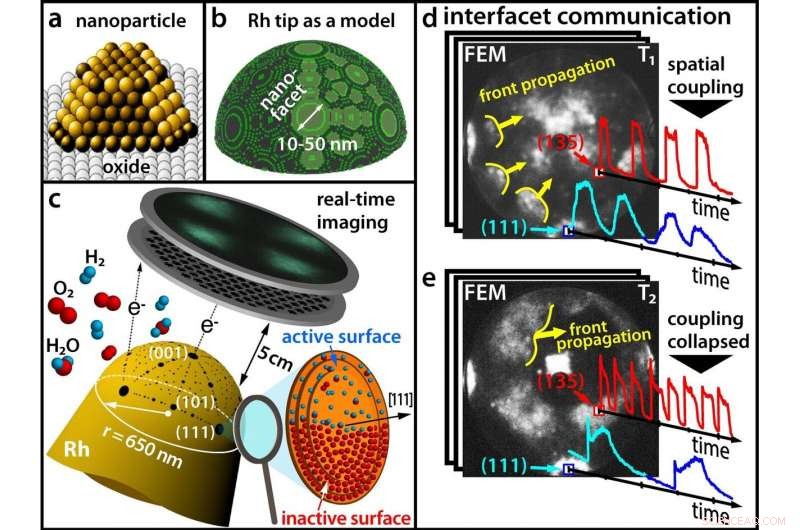 Nanoparticles: Unlocking the Rhythms of Catalytic Chemistry