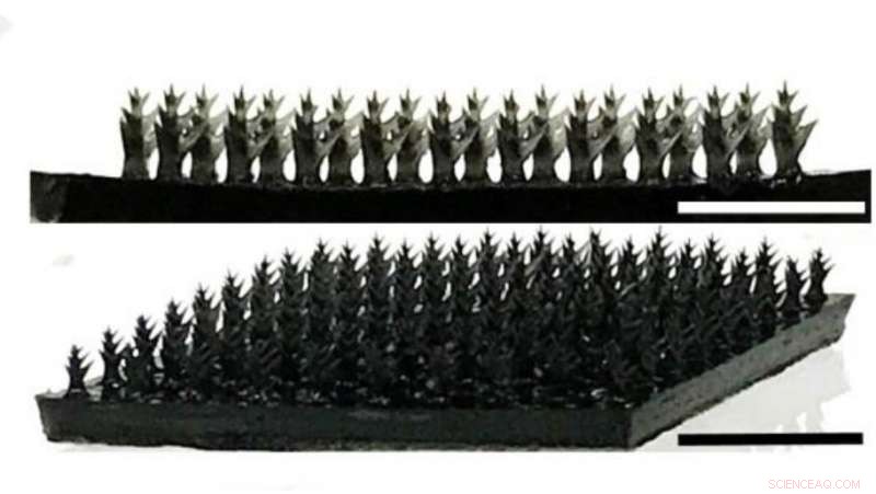 Innovative Hydrogel Membrane Harvests Water from Air 24/7