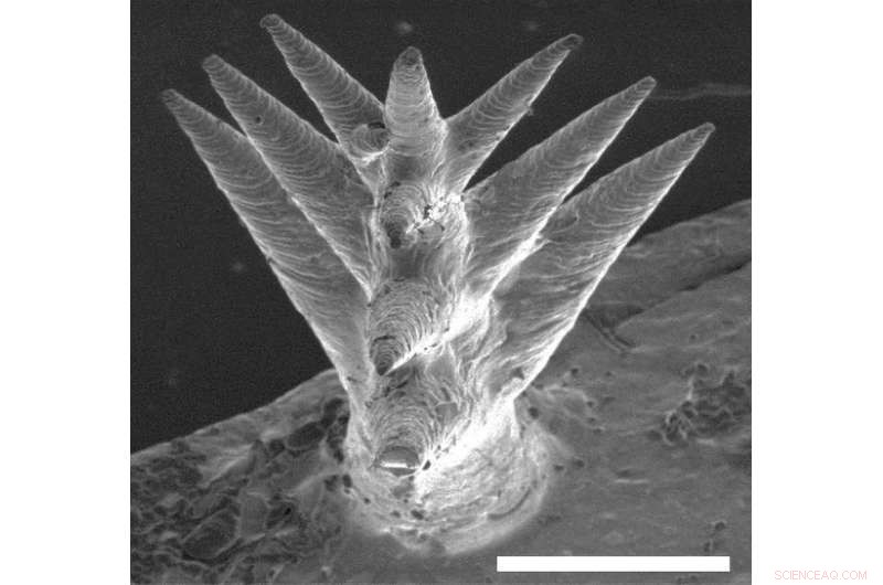 Innovative Hydrogel Membrane Harvests Water from Air 24/7