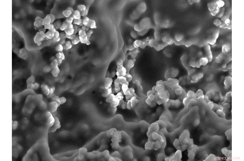 Innovative Hydrogel Membrane Harvests Water from Air 24/7