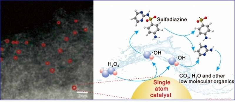 Groundbreaking Catalyst Enables Rapid, Efficient Removal of Micro‑Pollutants from Water