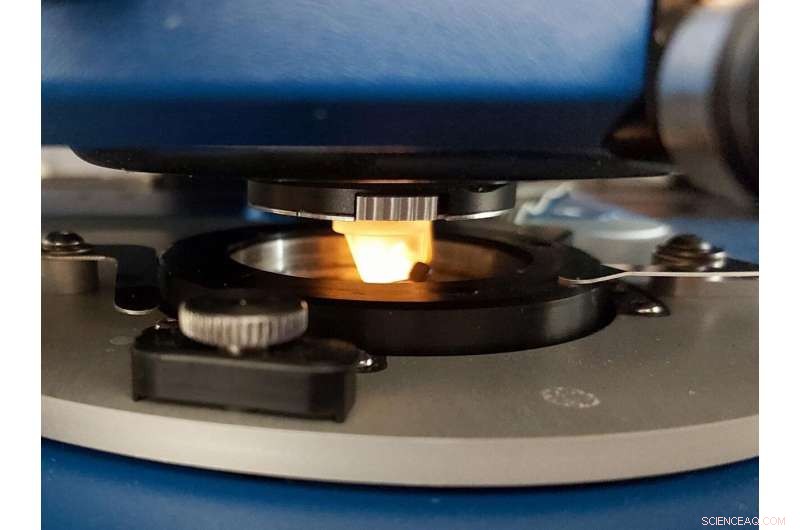 Cell Mechanics Research Enhances Chemotherapy Effectiveness