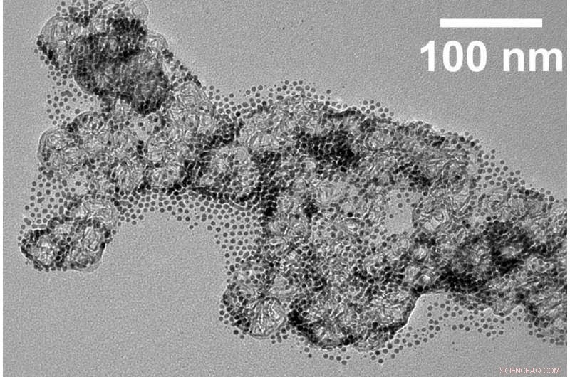 Advanced Synthesis and Application of Doped Carbon Structures for Energy Storage and Water Purification