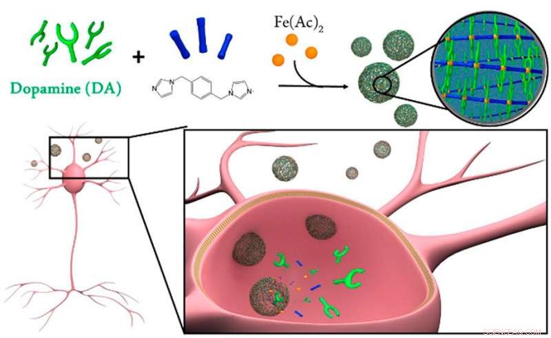 Nano‑Encapsulation Enhances Targeted Drug Delivery in Parkinson’s Treatment