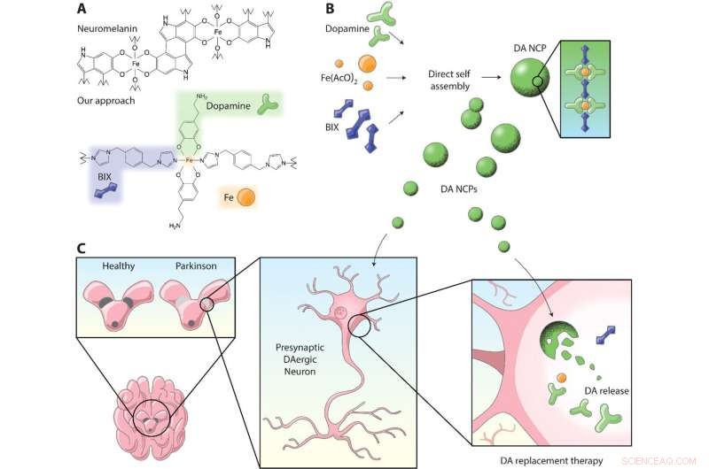 Nano‑Encapsulation Enhances Targeted Drug Delivery in Parkinson’s Treatment