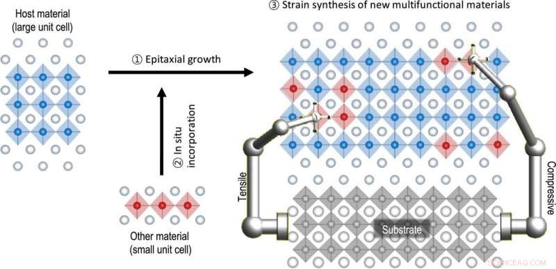 Autonomous Cation Distribution Control via Strain Engineering in Artificial Ferroelectrics