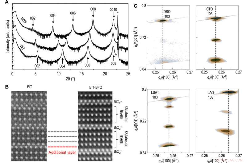 Autonomous Cation Distribution Control via Strain Engineering in Artificial Ferroelectrics