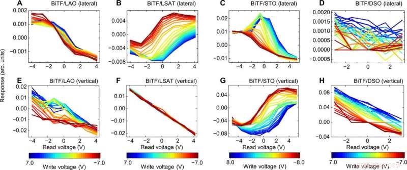 Autonomous Cation Distribution Control via Strain Engineering in Artificial Ferroelectrics