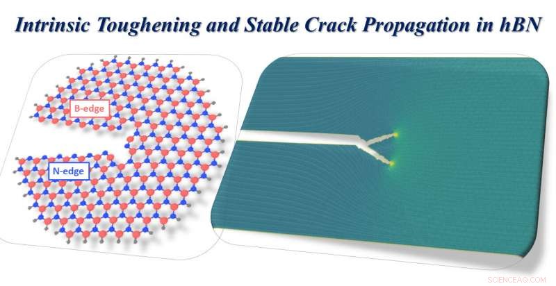 Hexagonal Boron Nitride Reveals Exceptional Toughness Through Crack-Branching Mechanisms