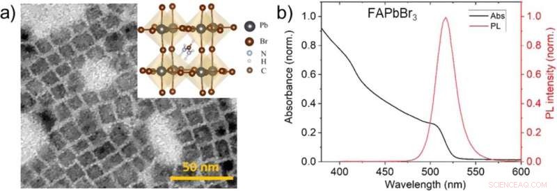 How Composition Shapes the Optical and Morphological Traits of Perovskite Nanocrystals