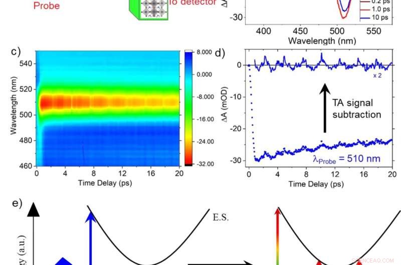 How Composition Shapes the Optical and Morphological Traits of Perovskite Nanocrystals