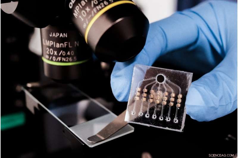 ExoSCOPE: The First 24-Hour Blood Test to Monitor Cancer Treatment Success