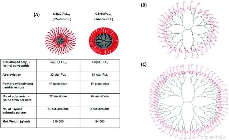 Innovative Nanoparticle Platform Boosts Gene Therapy Delivery