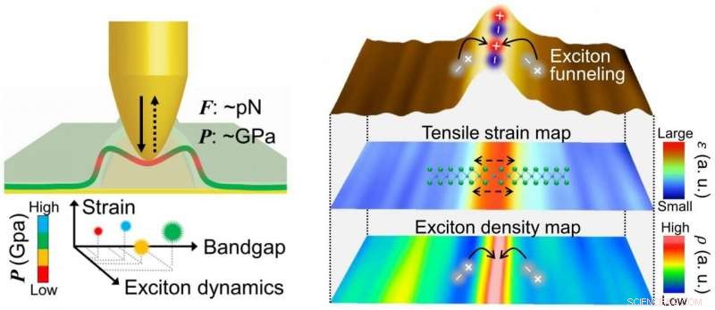 Revolutionary Tip-Induced Nanoengineering Controls Strain, Bandgap, and Exciton Funneling in 2D Semiconductors