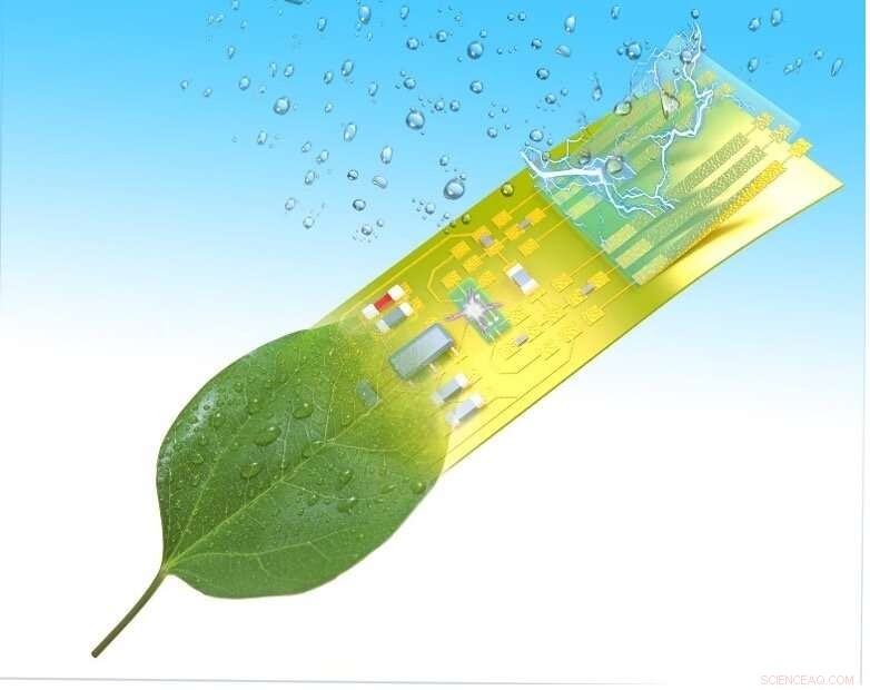 UMass Amherst Engineers Self‑Sustaining, Intelligent Electronic Microsystem from Green Materials