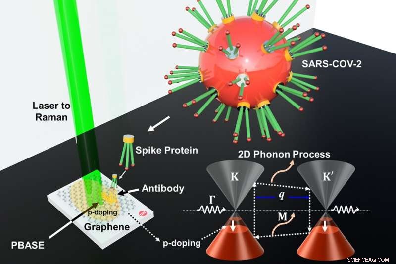 Rapid, Accurate COVID-19 Detection Using Graphene-Based Sensors