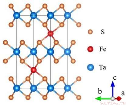 Tuning Spin Dynamics in Layered Tantalum Sulfide via Iron Atom and Proton Insertion