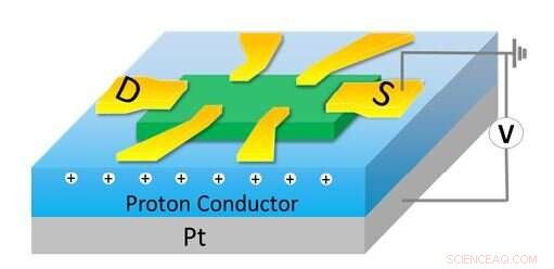 Tuning Spin Dynamics in Layered Tantalum Sulfide via Iron Atom and Proton Insertion