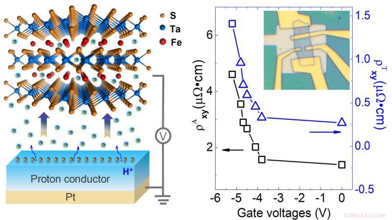 Tuning Spin Dynamics in Layered Tantalum Sulfide via Iron Atom and Proton Insertion