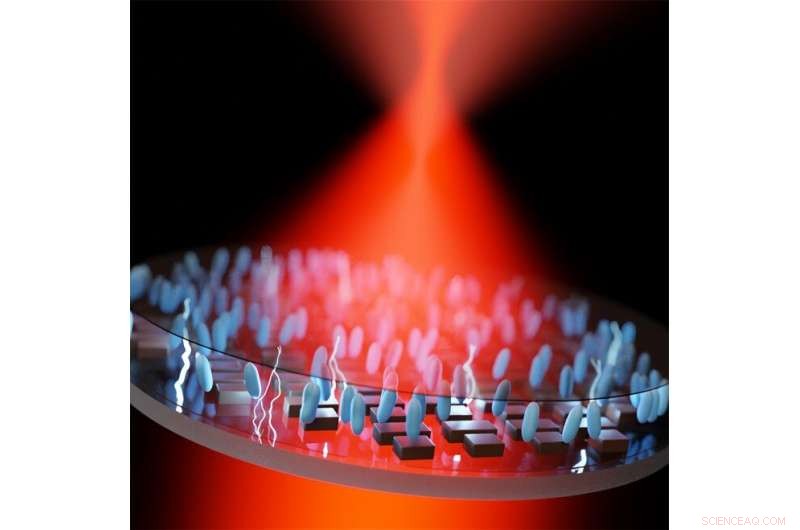 Revolutionary Ultrathin Metalens Enables Electric Zoom