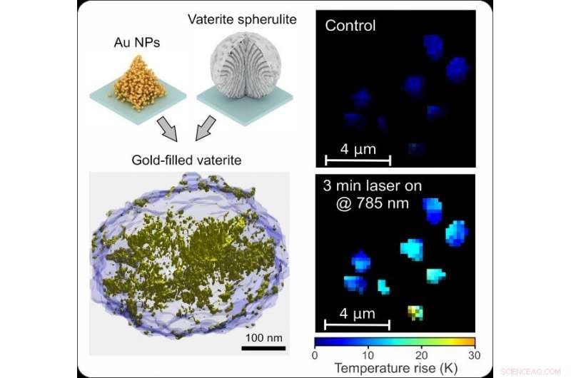 Tel Aviv University Scientists Convert Transparent Calcite into Artificial Gold Nanoparticles