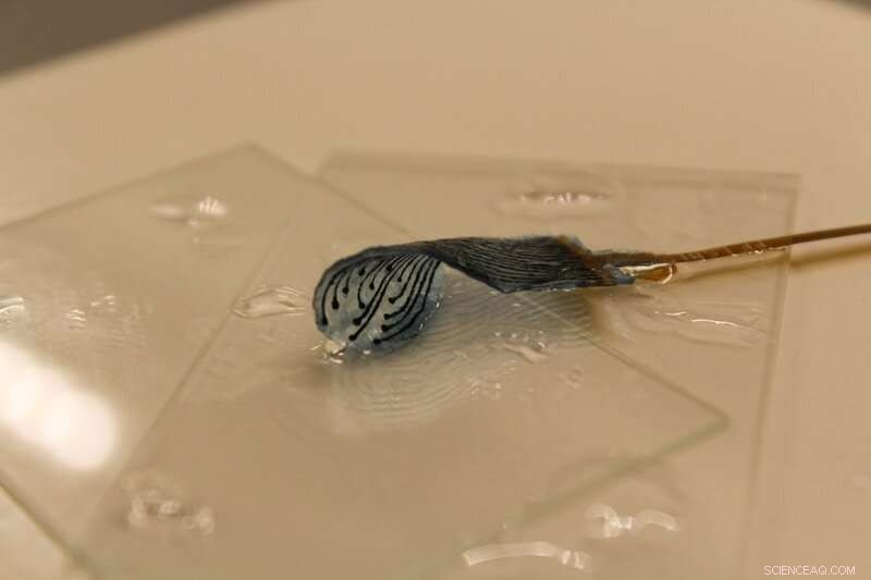 Flexible, Metal‑Free Hydrogel Electrodes Protect Organs During Medical Procedures