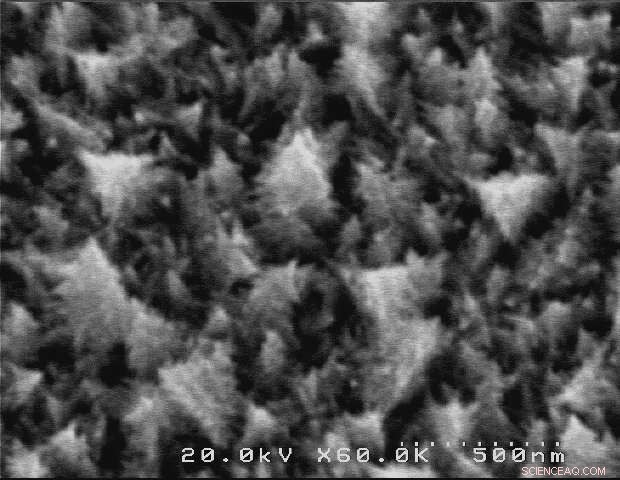 Innovative Palladium Nanostructures Mimicking Christmas Trees Boost Ascorbic Acid Oxidation