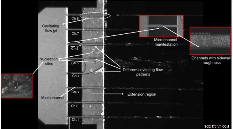 Multichannel Cavitation-on-a-Chip Device for Precise Hydrodynamic Cavitation Control