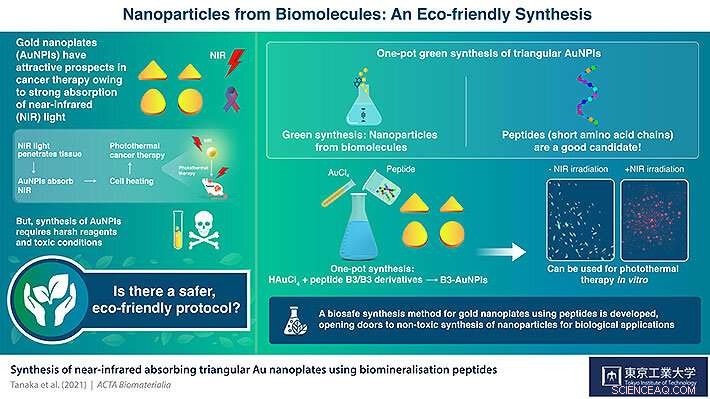 Eco‑Friendly Gold Nanoparticles Synthesized with B3 Peptide for Targeted Cancer Therapy